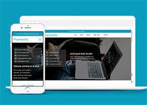 淘宝详情页制作响应式网站模板 - 项目资源网
