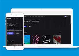 宽屏数字市场交易平台网站模板下载 - 项目资源网