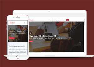 简洁股票金融分析团队HTML网页模板下载 - 项目资源网