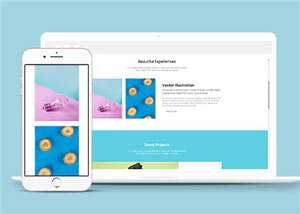 简约创意产品时尚展示响应式网页模板下载 - 项目资源网