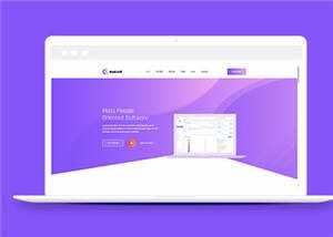 简约软件开发企业网站模板下载 - 项目资源网