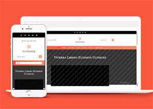 响应式橘红色企业公司网站模板 - 项目资源网