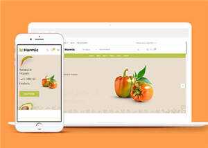 简洁蔬菜水果超市电商网站模板源码下载 - 项目资源网