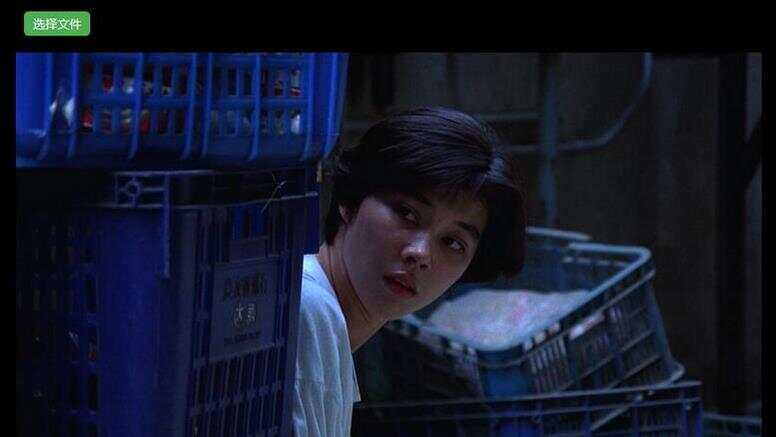 H5视频播放器源码_支持本地选择视频播放，带截图功能 - 项目资源网