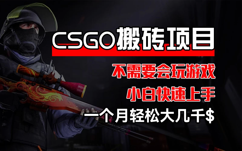 CSGO 装备搬砖项目，操作简单，不需要会玩游戏，小白也能快速上手，一个月轻松大几千 - 项目资源网