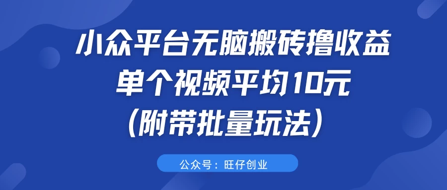 小众平台无脑搬砖撸收益，单个视频平均10元 (附带批量玩法） - 项目资源网