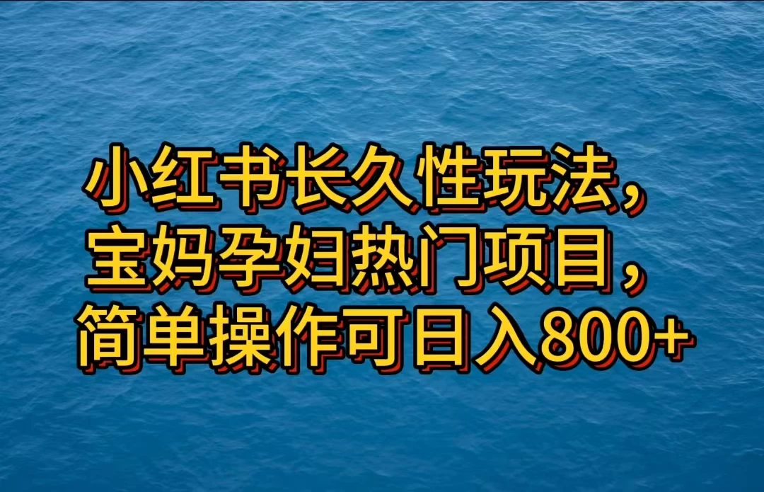 小红书长久性玩法，宝妈孕妇热门项目，简单操作可日入800+ - 项目资源网
