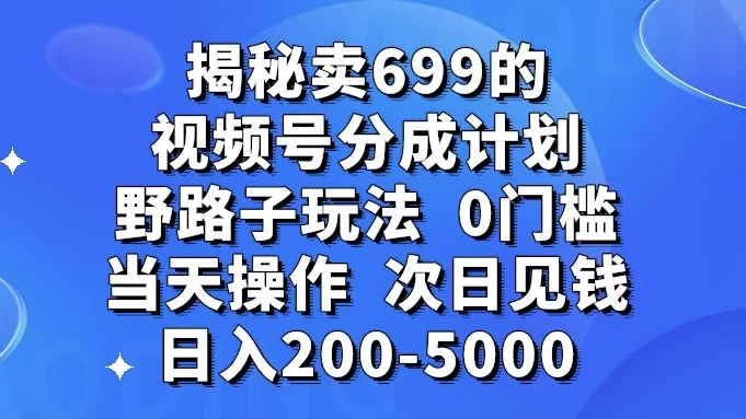 揭秘卖 699 的视频号分成计划野路子玩法，日入 200-5000，0 门槛，当天操作，次日见钱 - 项目资源网