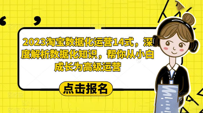 2023 淘宝数据化运营 14 式：深度解析数据化知识，帮你从小白成长为高级运营 - 项目资源网