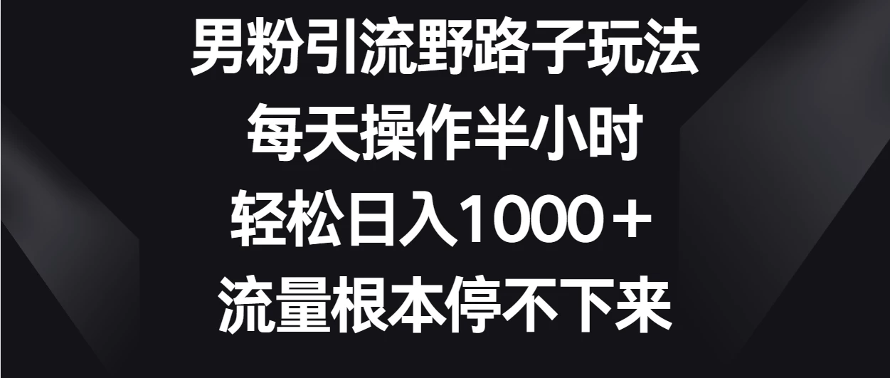 男粉引流野路子玩法，每天操作半小时轻松日入1000＋，流量根本停不下来 - 项目资源网