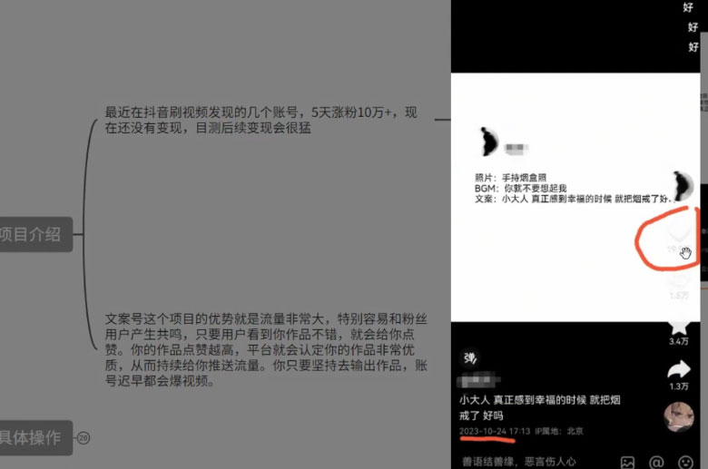 图片[2] - 最新抖音暴力文案号，五天涨粉 10w+，喂饭级拆解教学 - 项目资源网 - 项目资源网