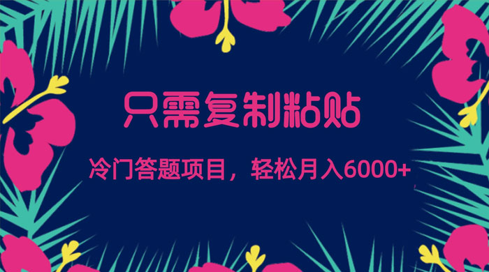 只需复制粘贴，冷门答题项目，轻松月入 6000 - 项目资源网