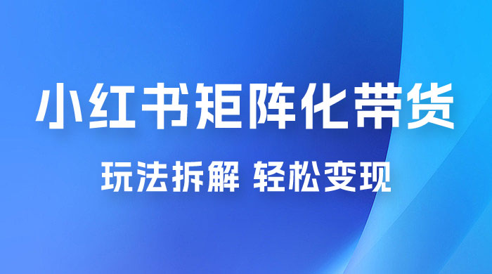 小红书矩阵化带货玩法拆解，保姆级教程，详细拆解这套玩法 - 项目资源网