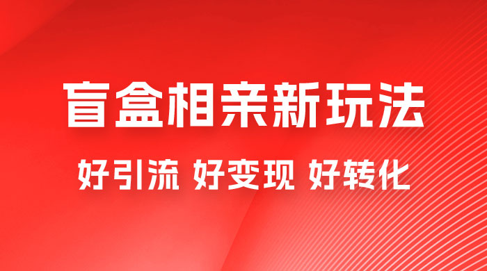 盲盒相亲新玩法：适合新手小白，一部手机可以做，轻松日入 500+ - 项目资源网