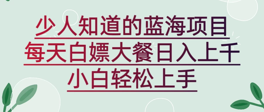 新蓝海长期项目，白嫖大餐日入上千，小白轻松上手 - 项目资源网