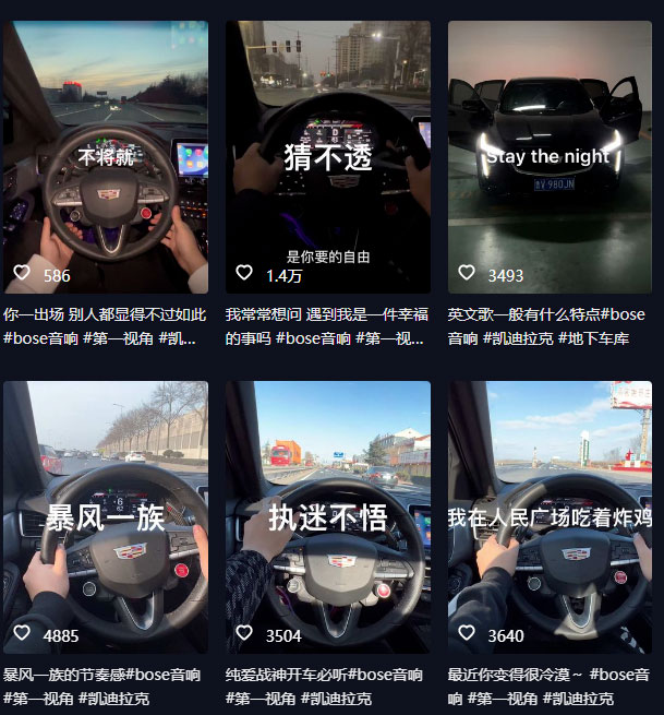 图片[2] - 抖音开车视频项目：0基础操作，每天五分钟，月入过万 - 项目资源网 - 项目资源网