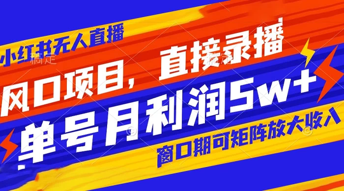 风口项目，小红书无人直播带货，直接录播，可矩阵，月入 5w+ - 项目资源网